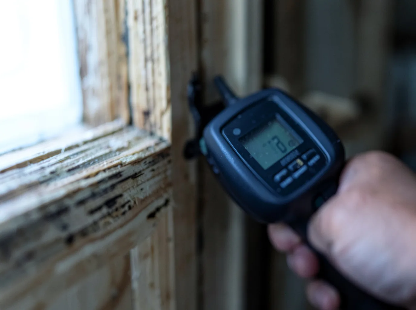Commercial Water Damage Restoration in Red Devil, AK